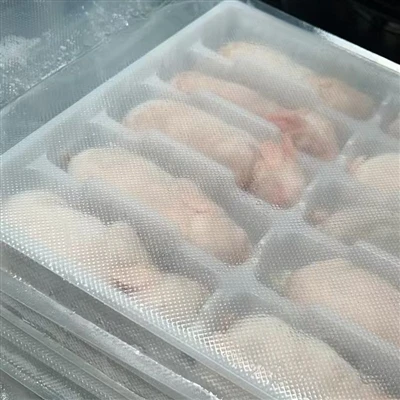 Spesies tikus beku apa yang sesuai untuk ular?