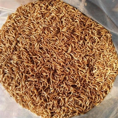 Prinsip cacing makanan kering untuk ayam