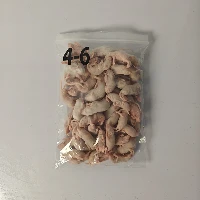 Suckling Mouse
