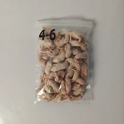 Tikus merah jambu beku