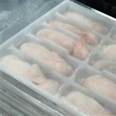 Arnab beku segar